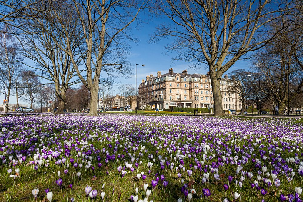 Jardins fleuris et bâtiments victoriens de Harrogate