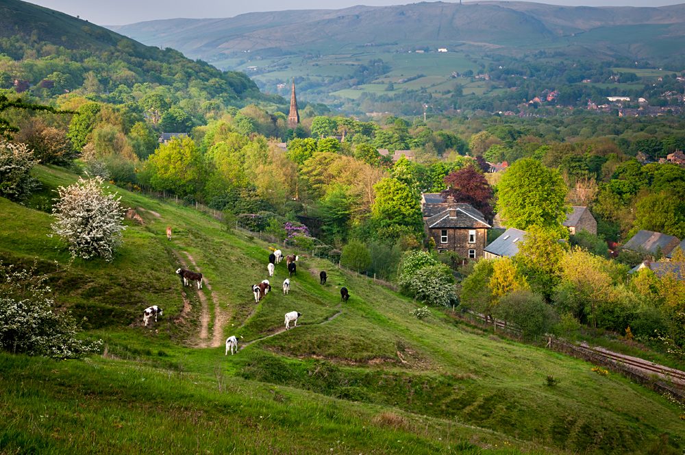 Murets de pierre et vallons verdoyants des Yorkshire Dales
