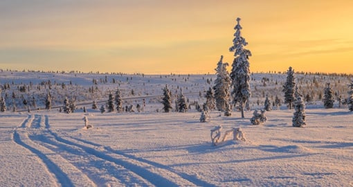 Voyage Ivalo en Finlande – Vacances, séjour et circuits