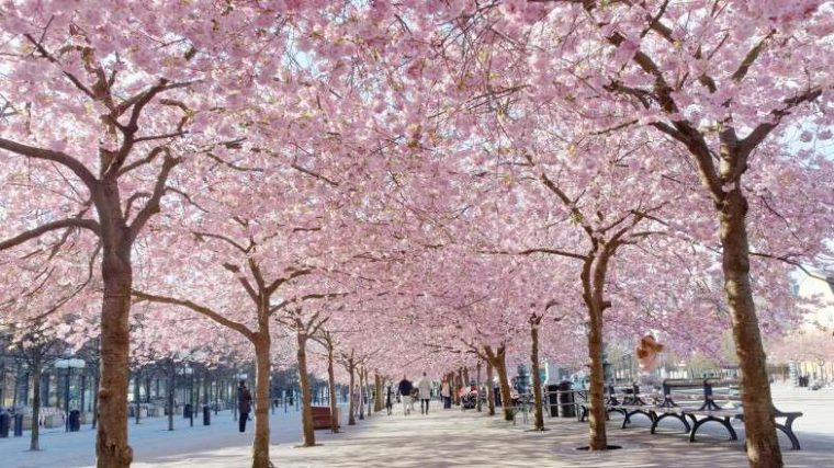 La Suède en avril : Météo, conseils et plus encore - img