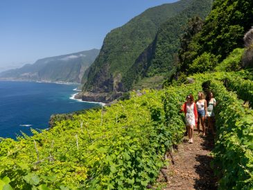 7 raisons de visiter Madère, l'île portugaise de l'évasion - img